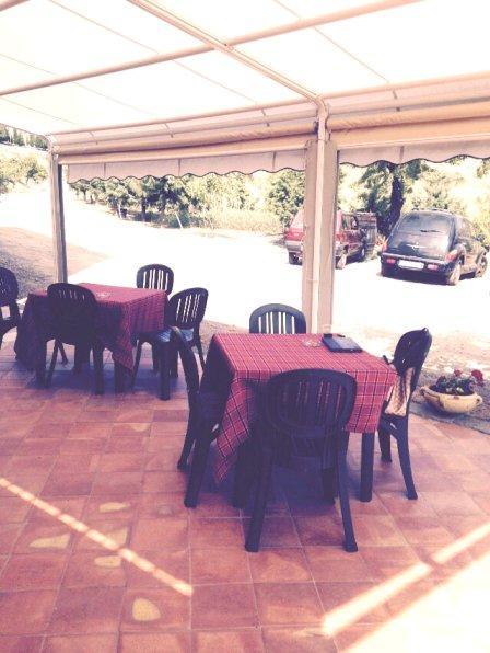 Turismo Rurale Oro Verde Bed & Breakfast Bronte Exterior photo